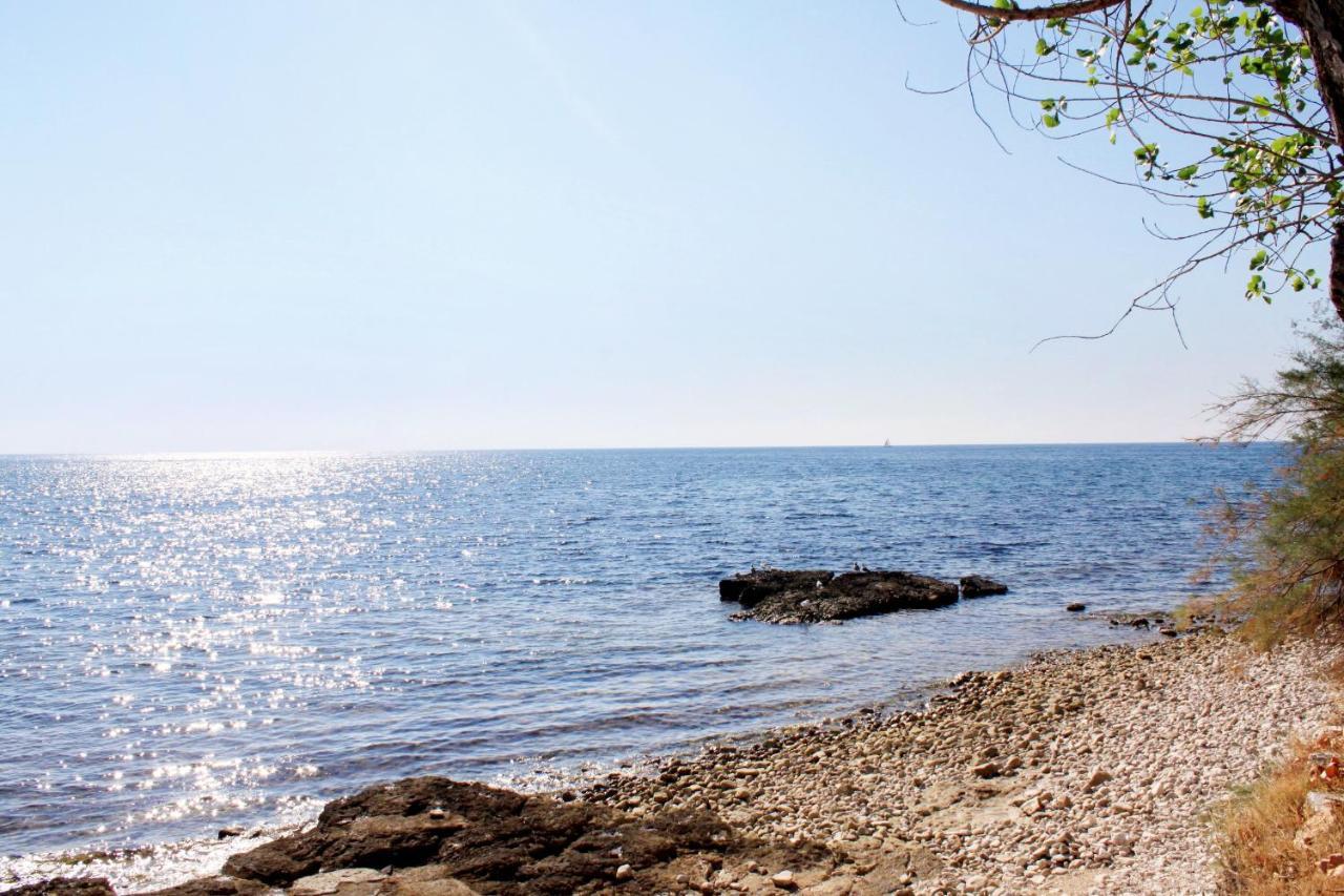 Holiday House With A Parking Space Babici, Umag - 13795 מראה חיצוני תמונה